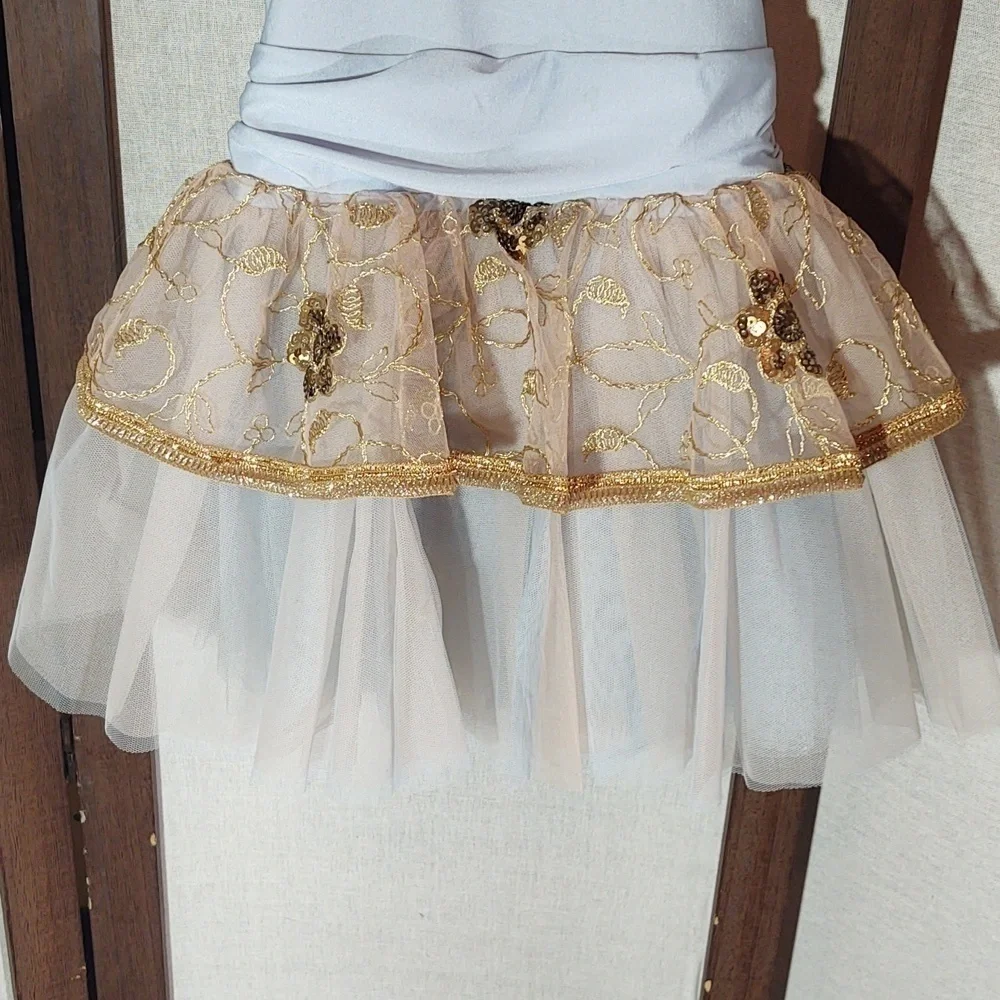 Weissman Lead The Way Sequin Embroidered Dance Dress tutu ballet 13466 Sz IC
